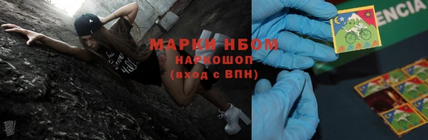 шишки Алзамай