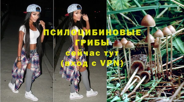 дмт Абдулино