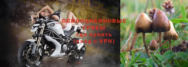 дмт Абдулино